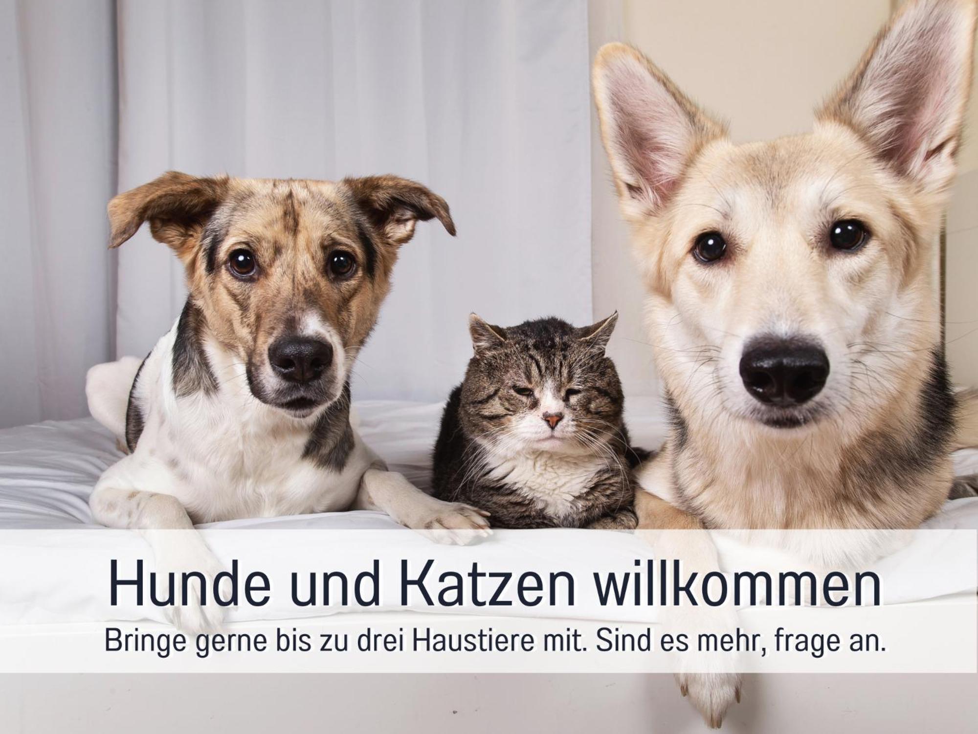 Ferienhaus Topferhaus: Beach-Close Pet-Friendly Retreat with Workation Amenities Steinberg  Exterior photo